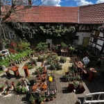 Villino