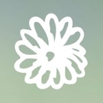 Blumen Schöner