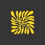 Casa Paesi Conceptstore