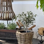 Der Drypotshop