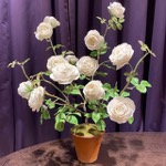 Porcelain Flowers