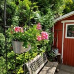 Elke