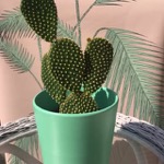 Interior & garden & design