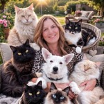 Katja mein Leben mit 6 Katzen & 1 Handicaphündin. Sylt ️