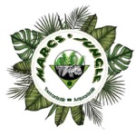 marcs.jungle