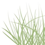 JULIA GRAESER interior design