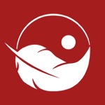 navango | Kissen zum Wohlfühlen