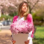 Blumen in der Box